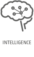 Icon_Intelligenz_web