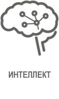 Icon_Intelligenz_web
