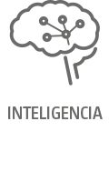 Icon_Intelligenz_web