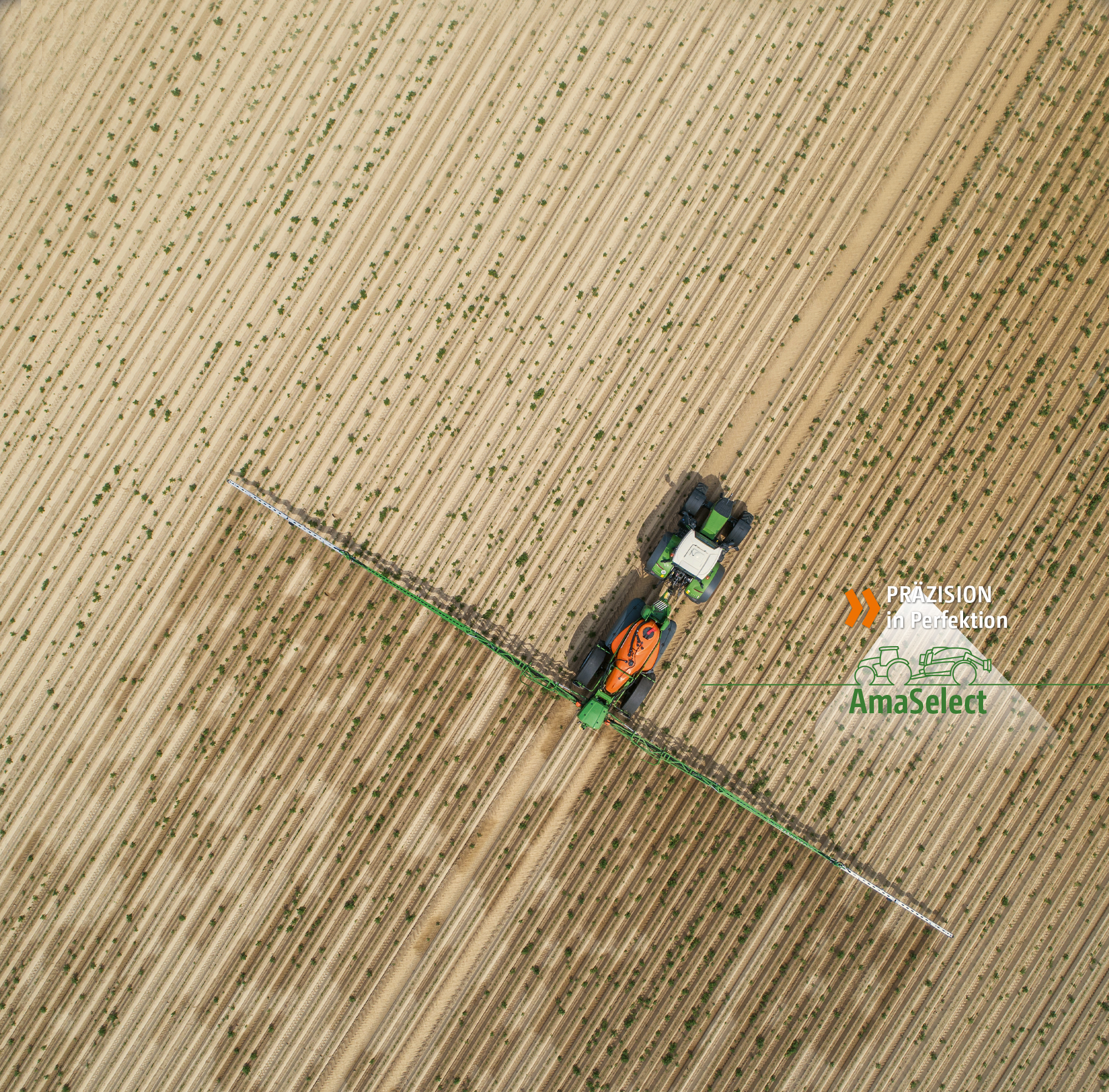 Encabezado_AmaSelect