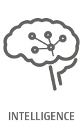 Icon_Intelligenz_web