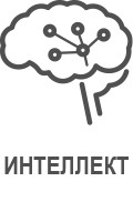 Icon_Intelligenz_web