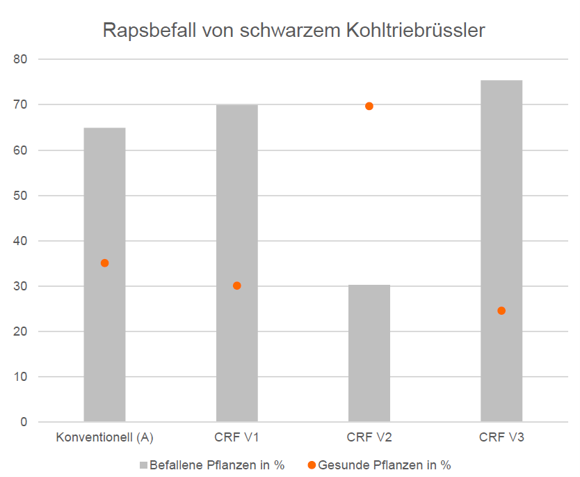 Die Bonitur vom 27. März 2024 verdeutlicht das Ausmaß des Schädlingsbefalls. bonitur