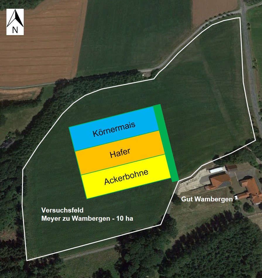 Lage-CRF-Versuche Lage-CRF-Versuche