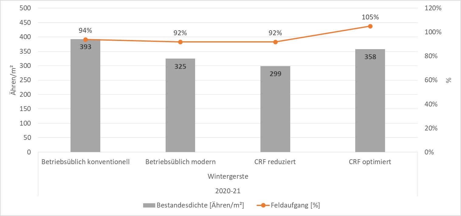 Wintergerste Aussaat 2020: Feldaufgang und Bestandsdichte Wintergerste-Aussaat-2020-Feldaufgang-und-Bestandsdichte-
