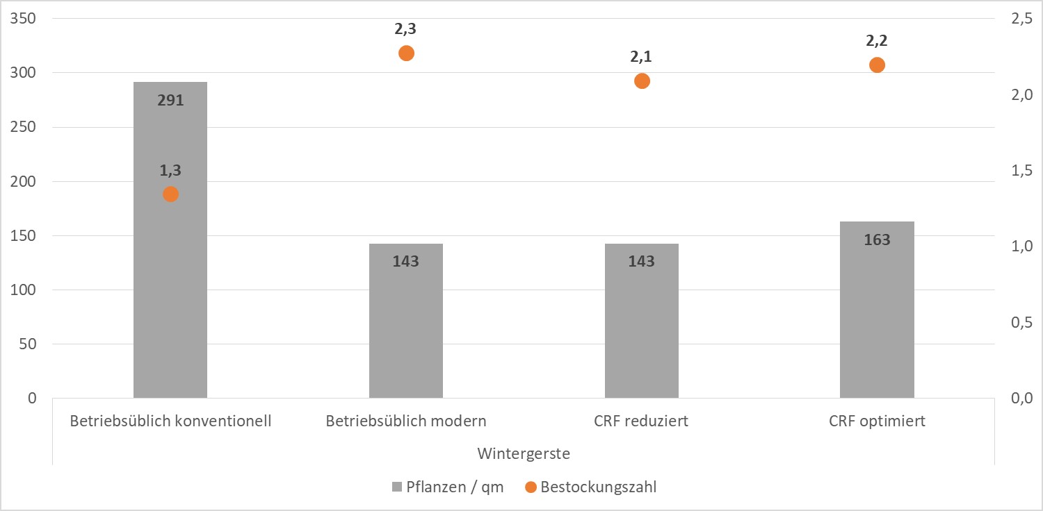 Wintergerste-Aussaat-2020-Bestandsdichte