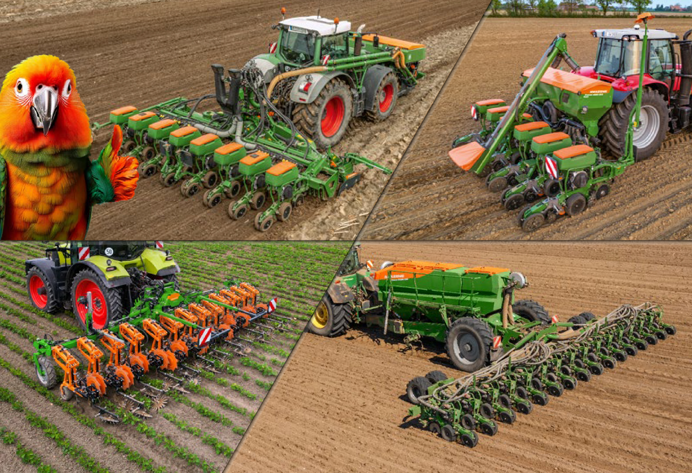 Early Bird Teaser-01