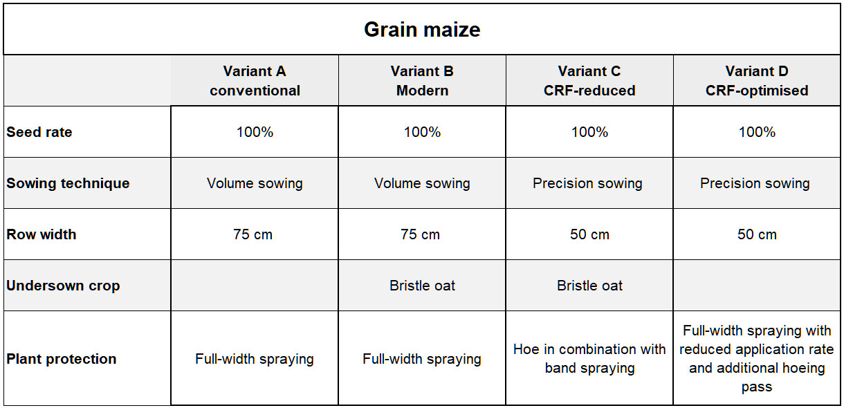 Fig.: Crop season plan for grain maize 2021 (© AMAZONE: grain.jpg) koernermais_2022