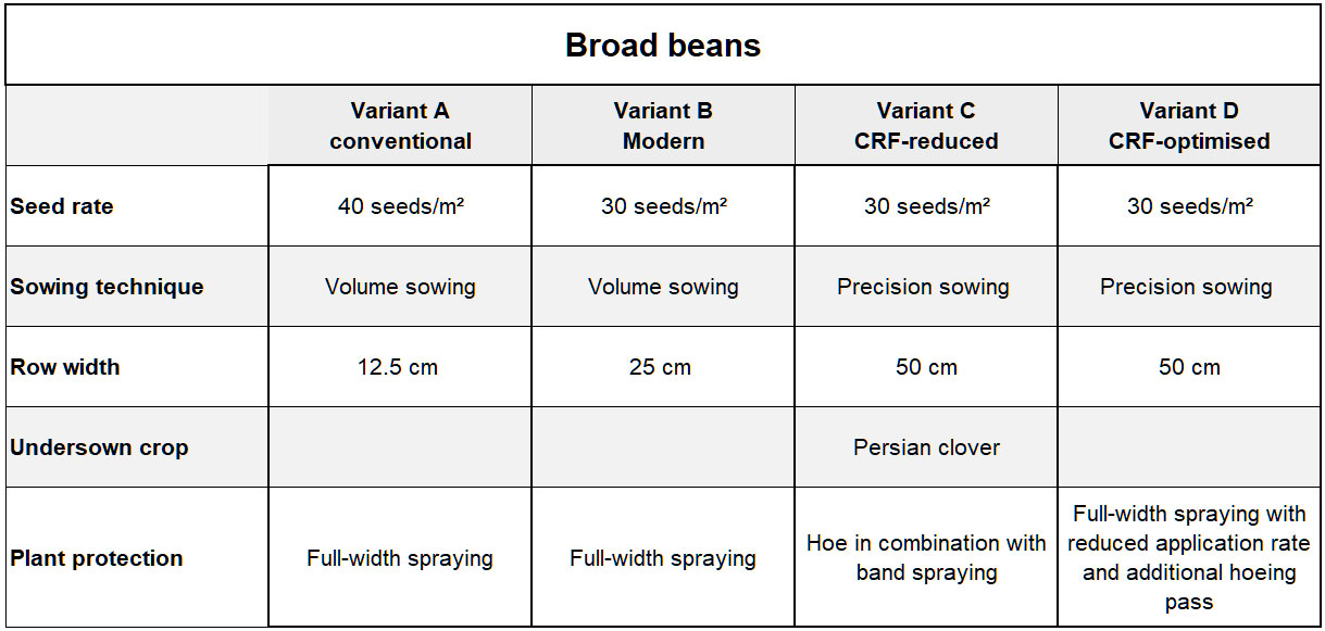 Fig.: Crop season plan for field beans 2021 (© AMAZONE: beans.jpg) ackerbohne_2022