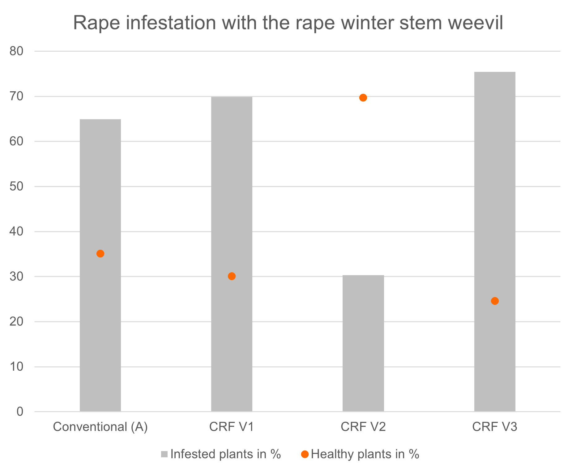 The assessment of 27th March 2024 clearly illustrates the extent of the infestation. (© AMAZONE: bonitur-en.png) Assessment