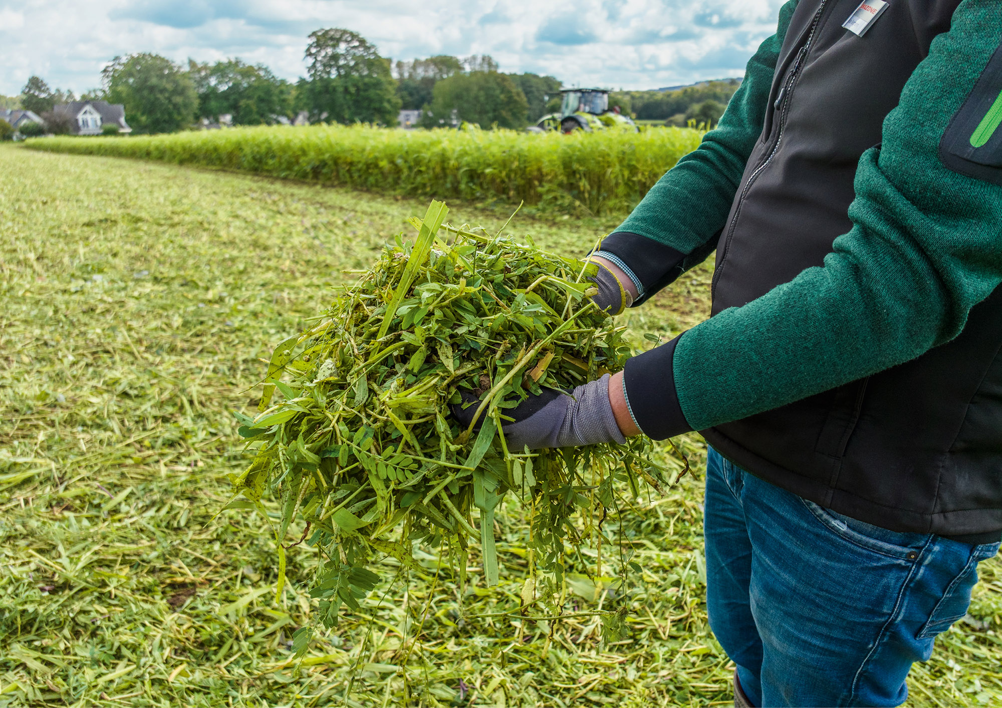 Intensive shredding, even of long and green catch crops (© AMAZONE: TopCut_ZwiFru_Claas_d0_kw_DJI_20240912141016_0842_d1_250801_GO.jpg) Intensivste Zerkleinerung auch von langen und grünen Zwischenfrüchten