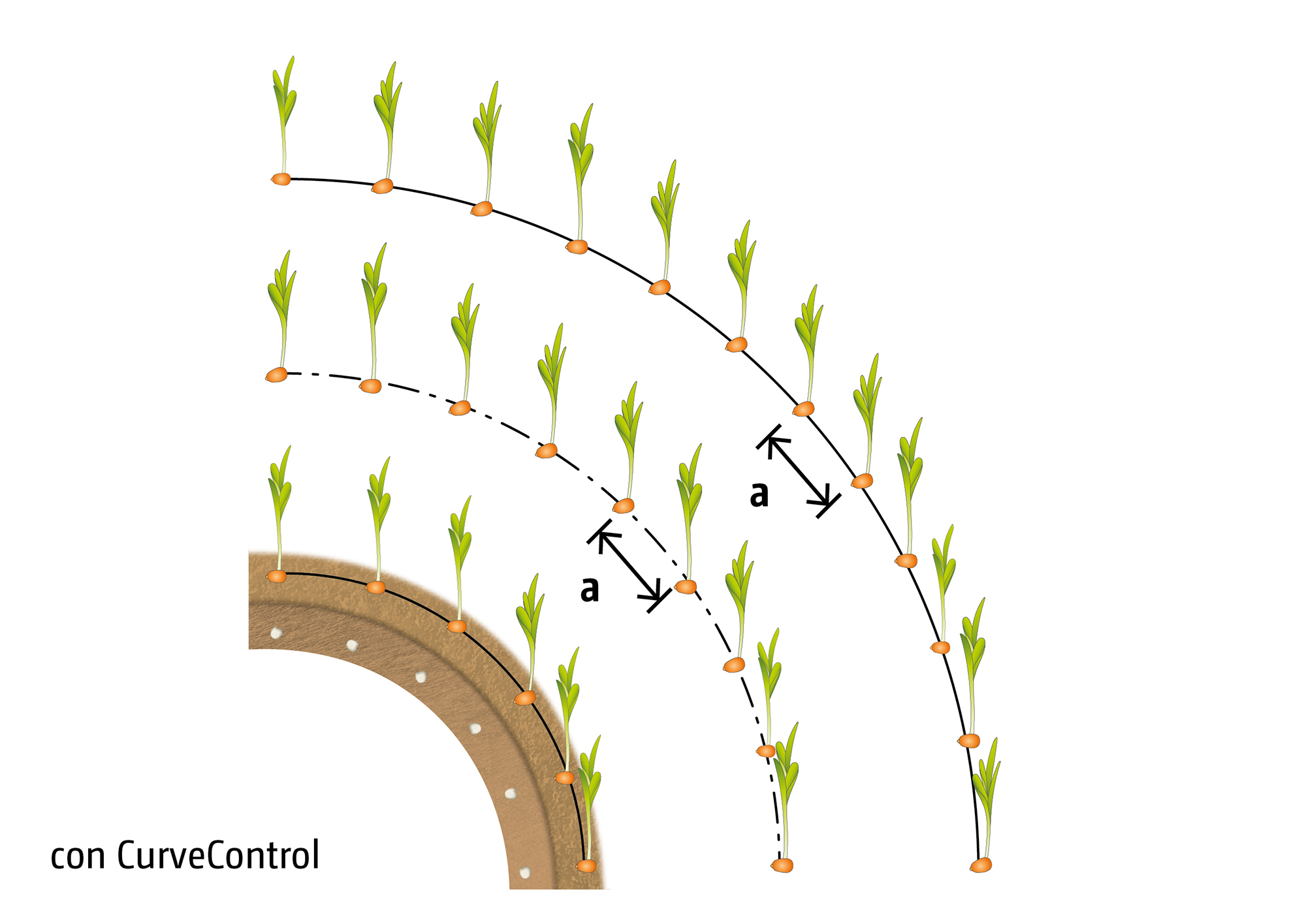 con CurveControl: colocación precisa del abono incluso en las curvas (© AMAZONE: Grafik_mit_CurveControl_d1_250617_GO_es.jpg) Punktgenaue Düngerabgabe auch bei der Kurvenfahrt