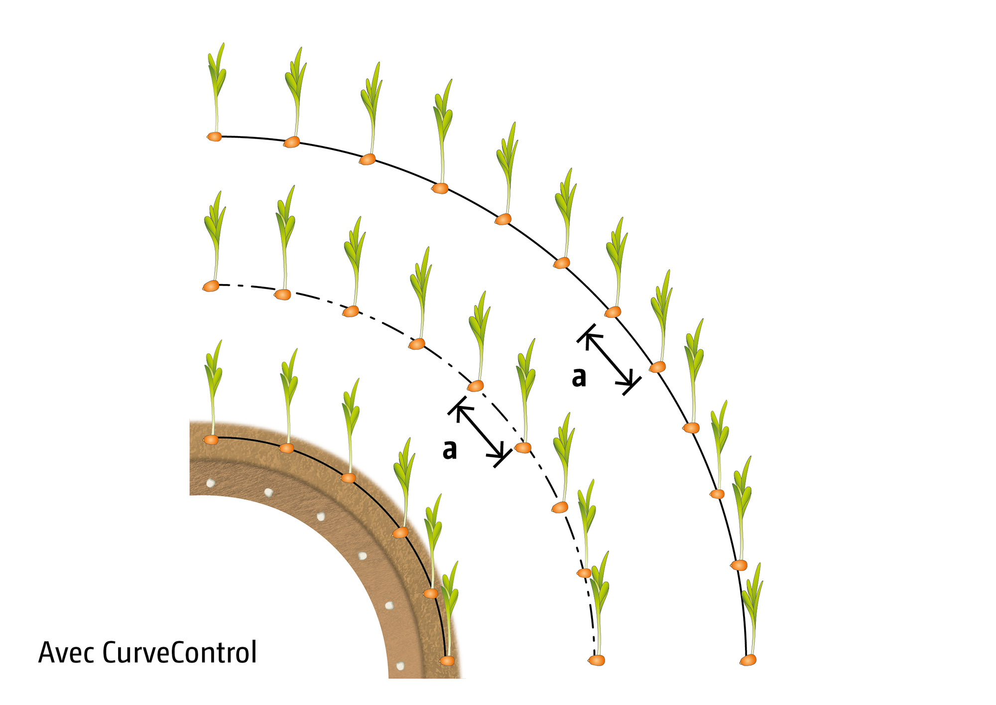 Avec CurveControl - Application précise de l’engrais, même dans les courbes (© AMAZONE: Grafik_mit_CurveControl_d1_250617_GO_fr.jpg) Punktgenaue Düngerabgabe auch bei der Kurvenfahrt