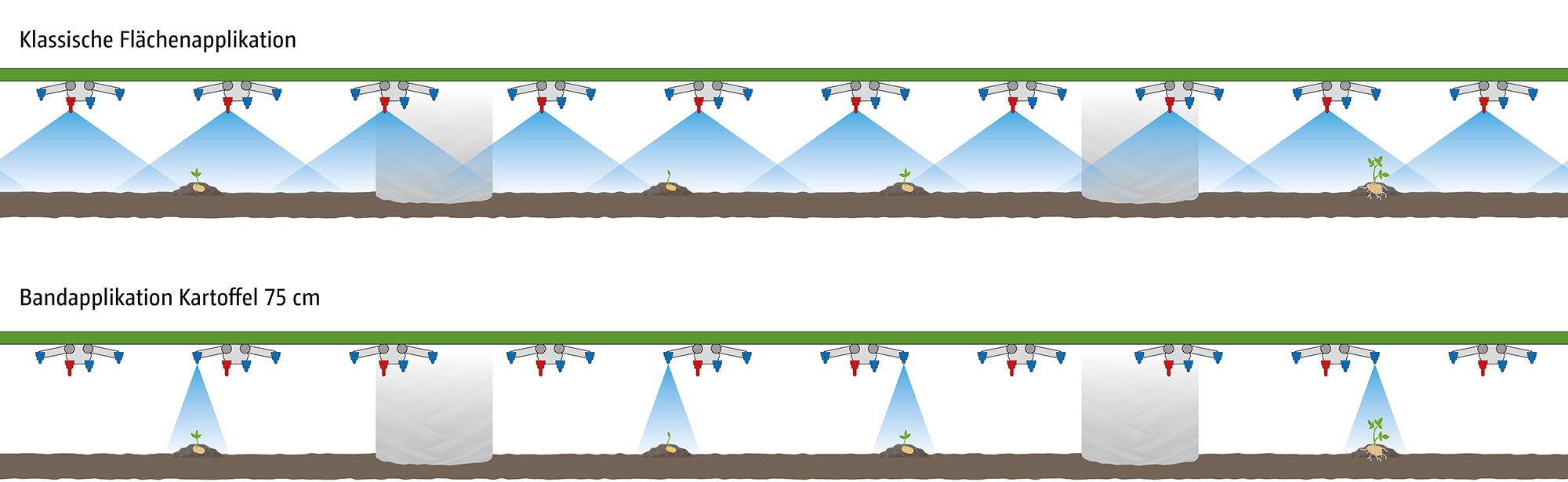 AmaSelect Row – band spraying using the example in potatoes (© AMAZONE: Uebersicht_AmaSelectRow_Duesenabstaende_GO_de.jpg) AmaSelect Row – Bandapplikation am Beispiel von Kartoffeln