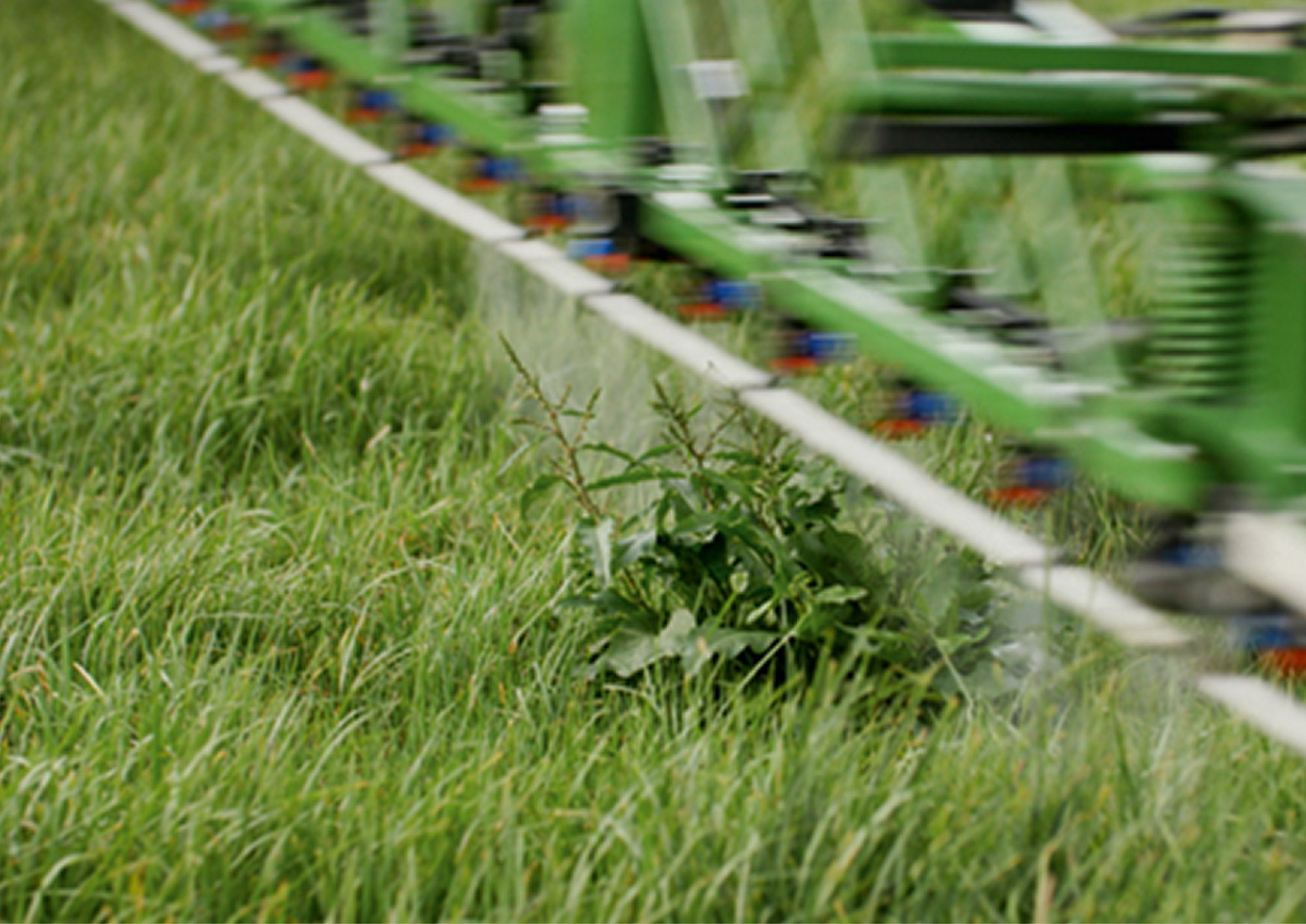 Vue détaillée d’un traitement sélectif des rumex au moyen de la pulvérisation ciblée (© AMAZONE : Spotspraying im Detail d1_250818_GO.jpg) Detailansicht einer selektiven Ampferbehandlung mittels Spot-Sprayin