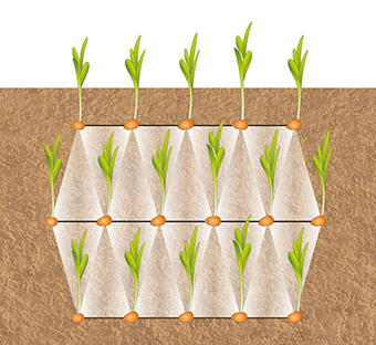 (© AMAZONE: Dreiecksverband_Grafik_a_d1_250807.jpg)