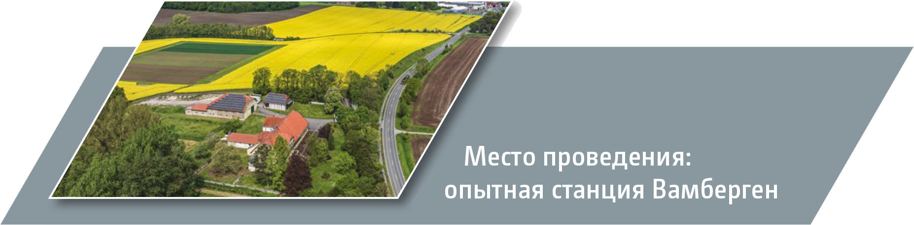 Вамберген