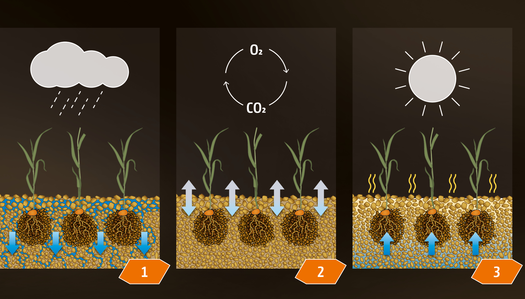 grafiken_rueckverfestigung_CMS