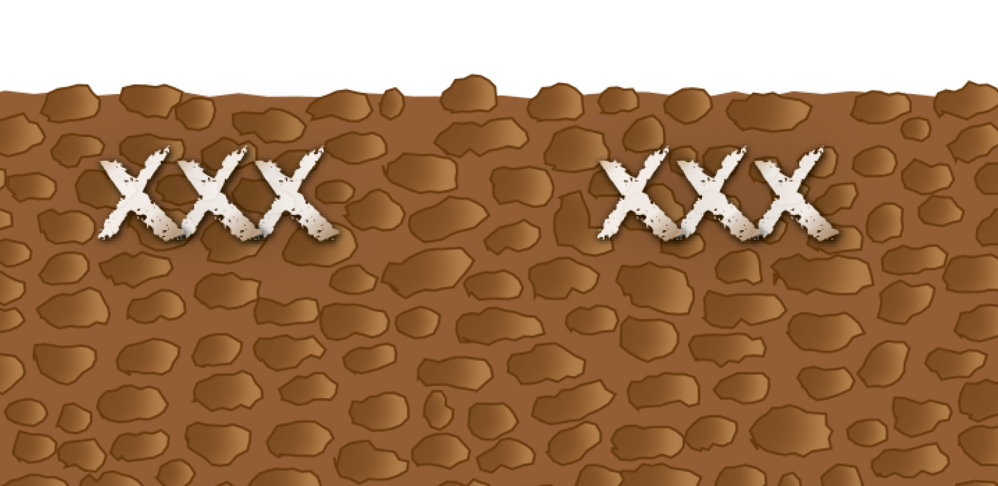 (© AMAZONE: Aussaatmethoden_02a_SingleShoot_3-1_d1_250113_CMS.png)