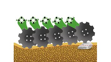 Grafik_Steinausweichen_Catros-Scheiben_d0_250424_CMS