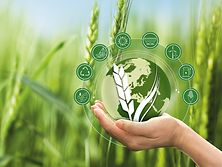 EnviroSafe_1606190653-huge_d1_200610